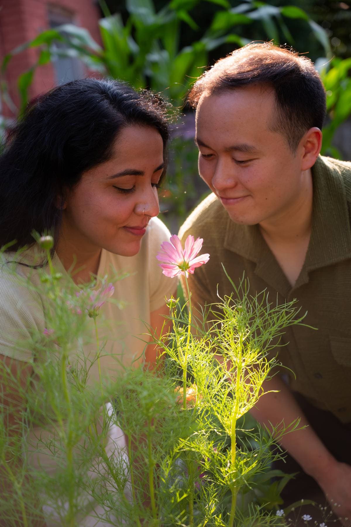 Sanjika and Andy admiring a pink cosmos flower in a garden